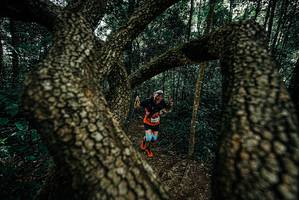 BIB: 
                            <button type="button" onclick="openModal(25682395)" class="btn btn-primary btn-sm float-right btn-popup" data-toggle="modal" data-target=".modal-high-quality">
                        <i class="fas fa-shopping-cart"></i> Add to Cart
                    </button>
                                            <button type="button" onclick="isThisMe(25682395, true)" class="btn btn-success btn-sm float-right btn-popup btn-isme hidden" data-toggle="tooltip" data-placement="bottom" title="นี่คือรูปของคุณใช่ไหม คลิกที่นี่เพื่อเอาเข้าอัลบั้ม">
                        <i class="fas fa-plus"></i> Add to album
                    </button>
                    <button type="button" onclick="isThisMe(25682395, false)" class="btn btn-warning btn-sm float-right btn-popup btn-isnotme hidden">
                        <i class="fas fa-ban"></i> Remove from album
                    </button>